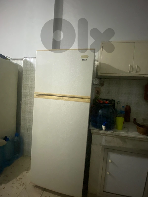 Campomatic Refrigerator and Freezer for Sale