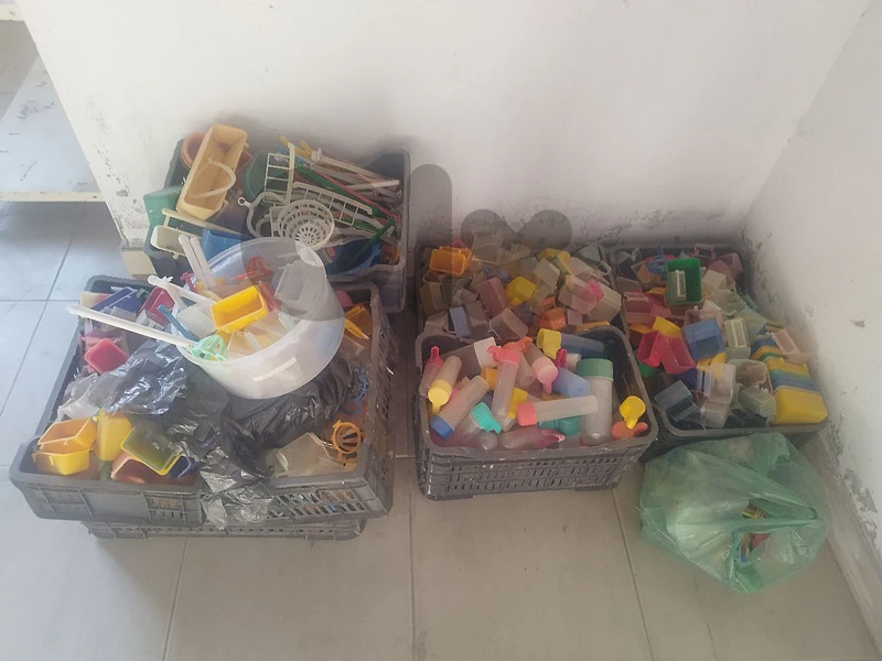 اغراض متنوعة للعصافير