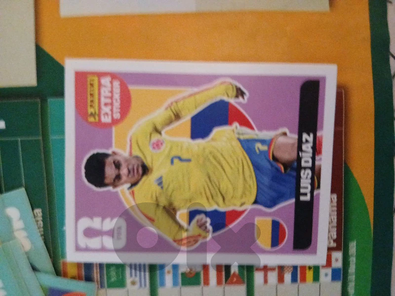 panini sticker
