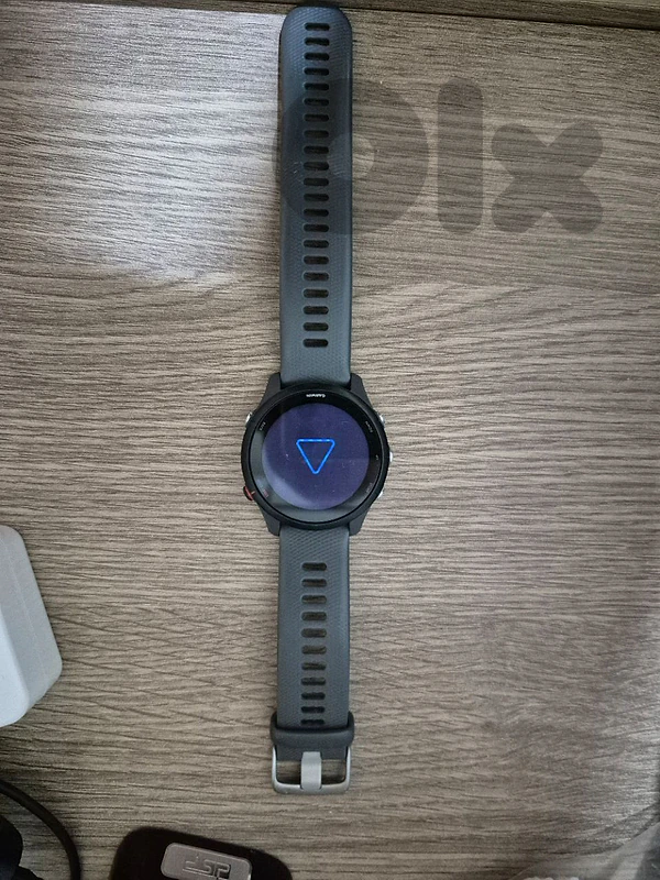 garmin forerunner 255