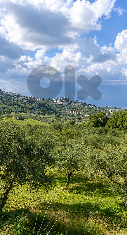 Land for Sale in Kfifan, Batroun أرض للبيع في كفيفان، البترون