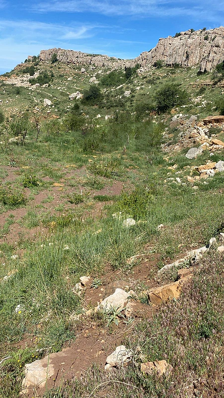 Land for Sale in Tannourine El Fawqa أرض للبيع في تنورين الفوقا