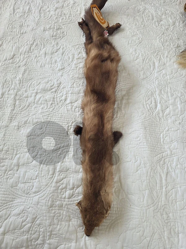 Renard Fox Real Fur