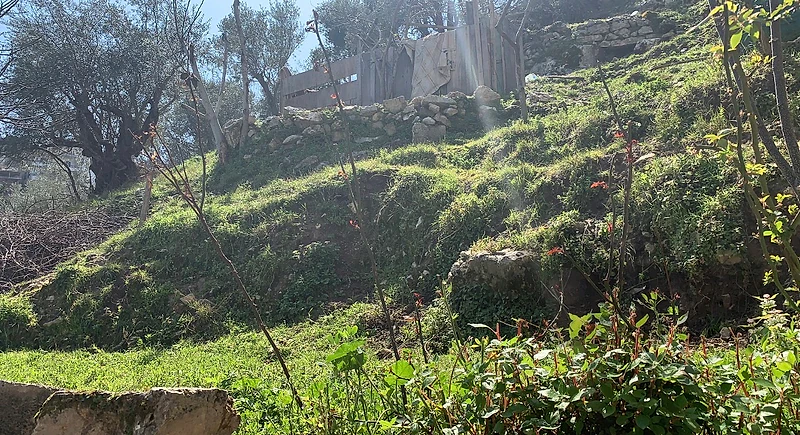 أرض للبيع في برجا مساحة ٥٢٧م٢