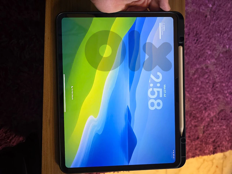 Ipad pro m4 13inch