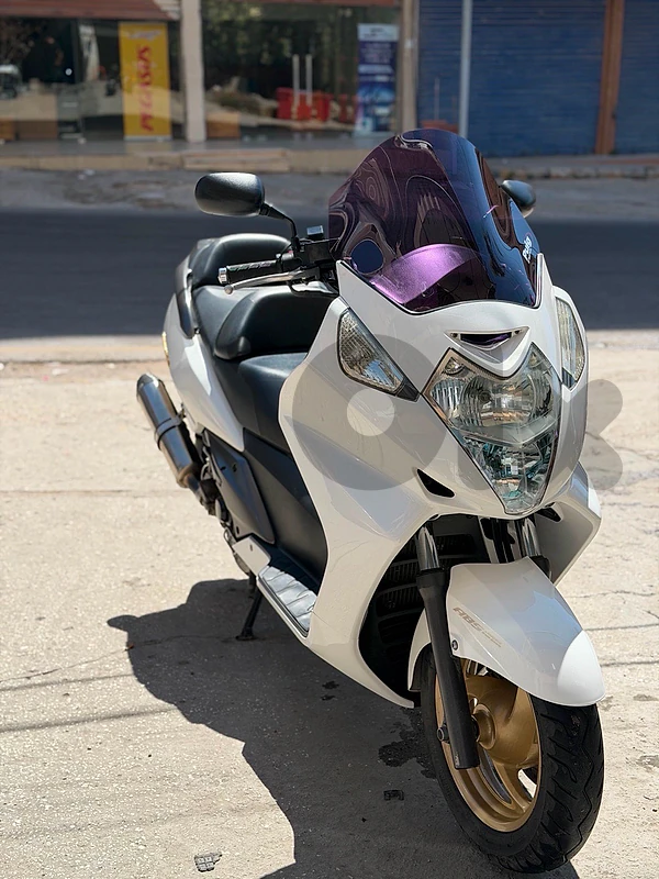 silver wing 600 🇯🇵🇯🇵