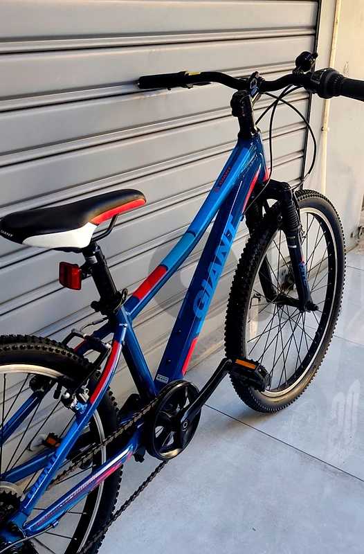 giant bicycle 24 🇺🇸