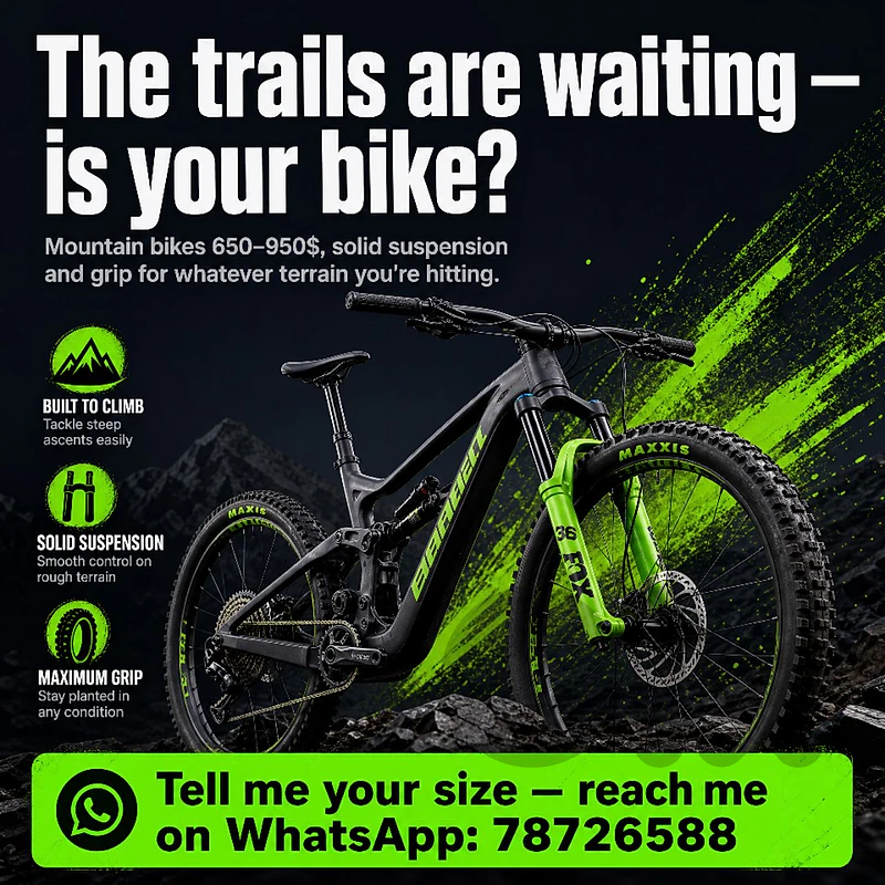 mountain bikes