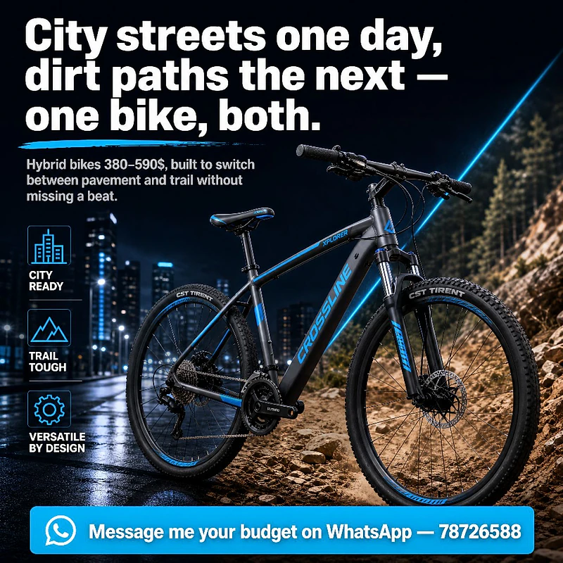 hybrid bicycle