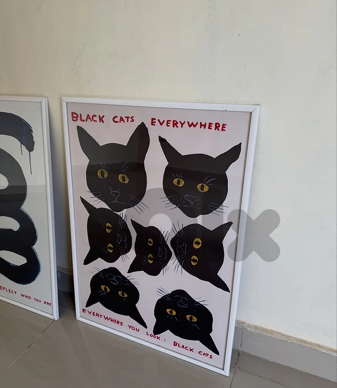 Framed posters