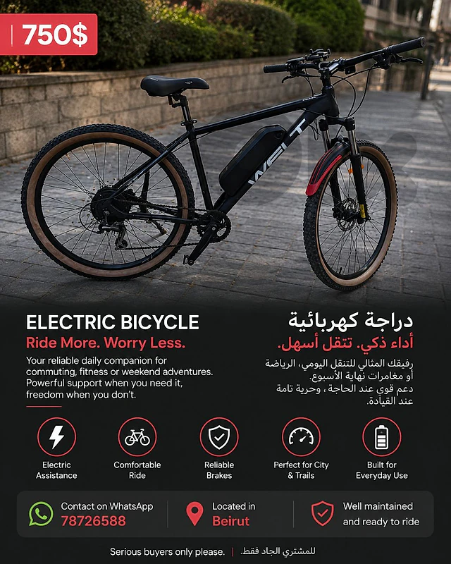 electric bicycle