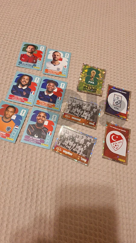 panini cards