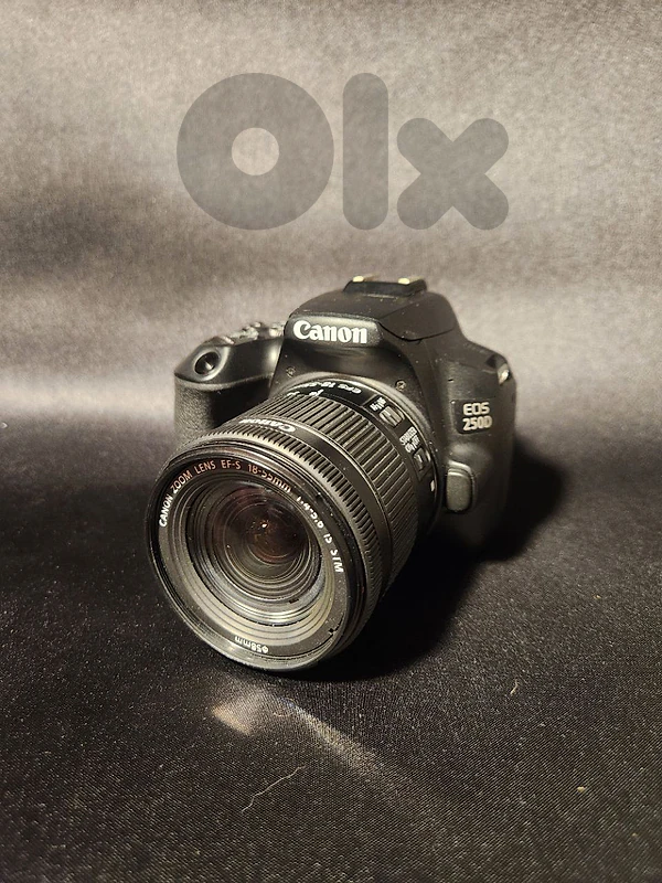 Canon EOS 250d/rebel sl3 +  Canon EF-S 18-55mm f/4-5.6 IS STM lens.