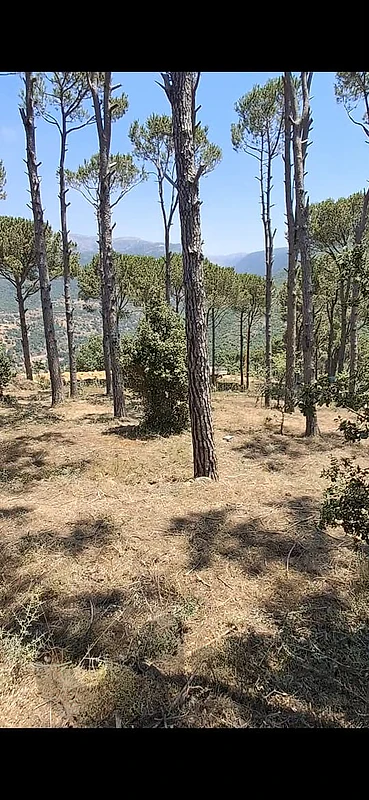 Land for sale in bteghrine