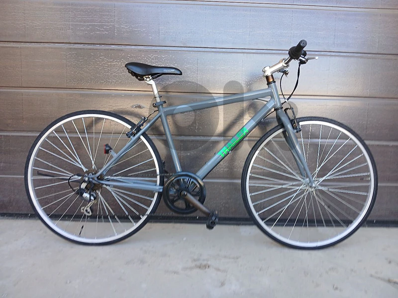 Trailer bike