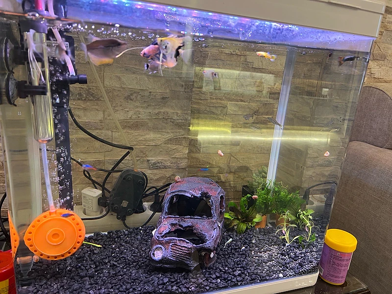 Aquarium