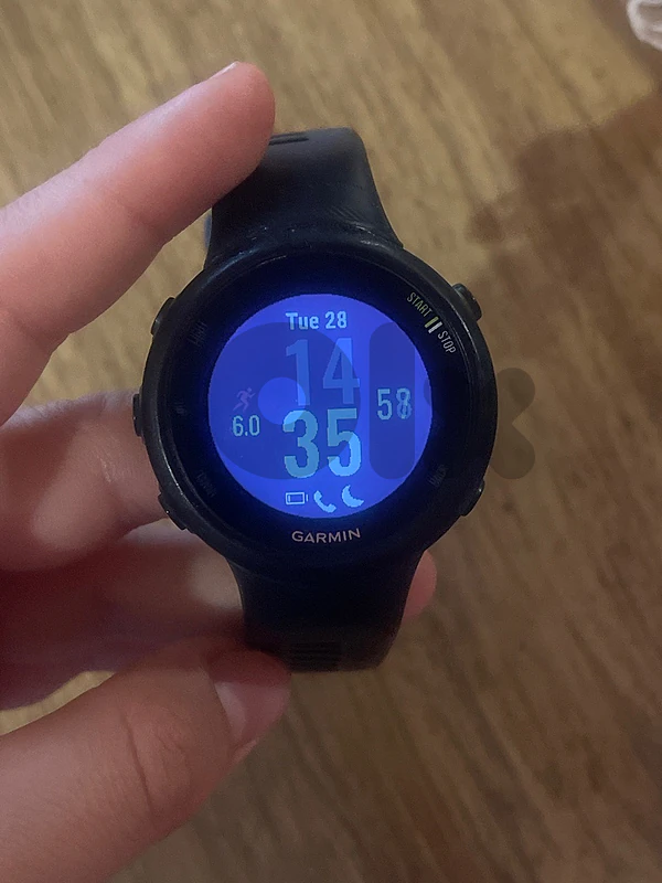 Garmin forerunner45