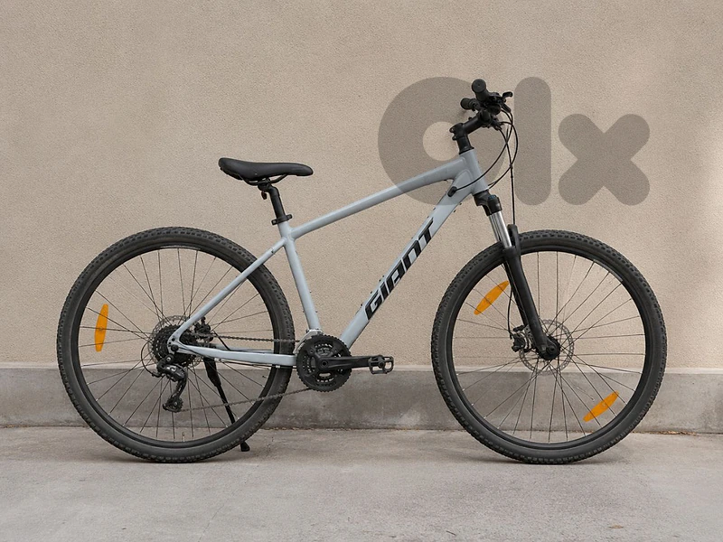 giant bicycle