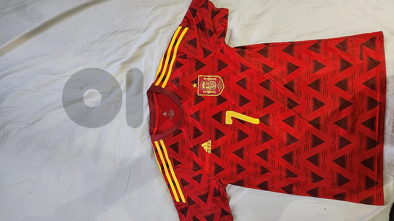 Spain home 2022