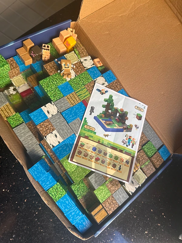 Minecraft magnectic world