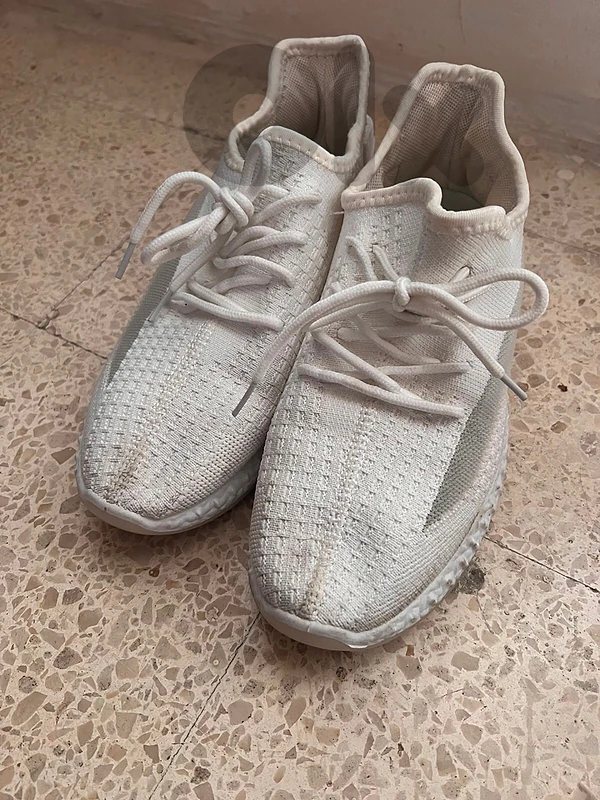 Adidas Shoes