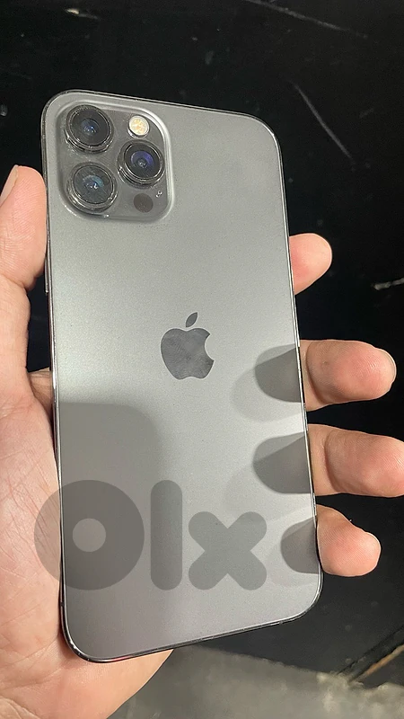 12 pro max