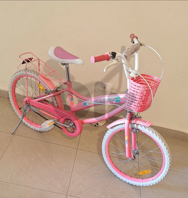 Rexis bike size 20 b 50 $