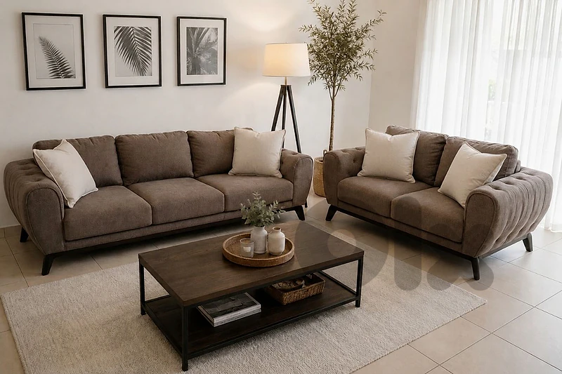 Used Modern Living Room Sofa Set