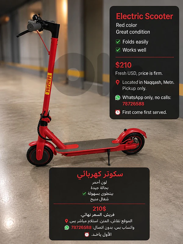 electric scooter