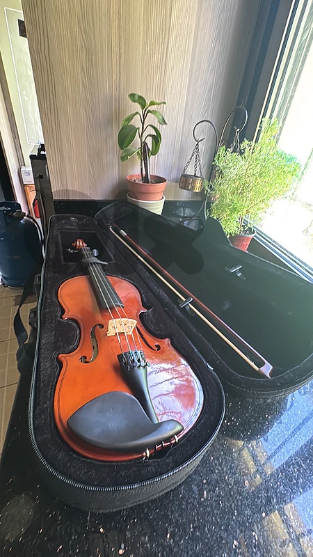 violin