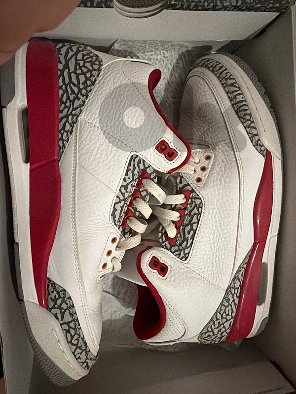 jordan 3s