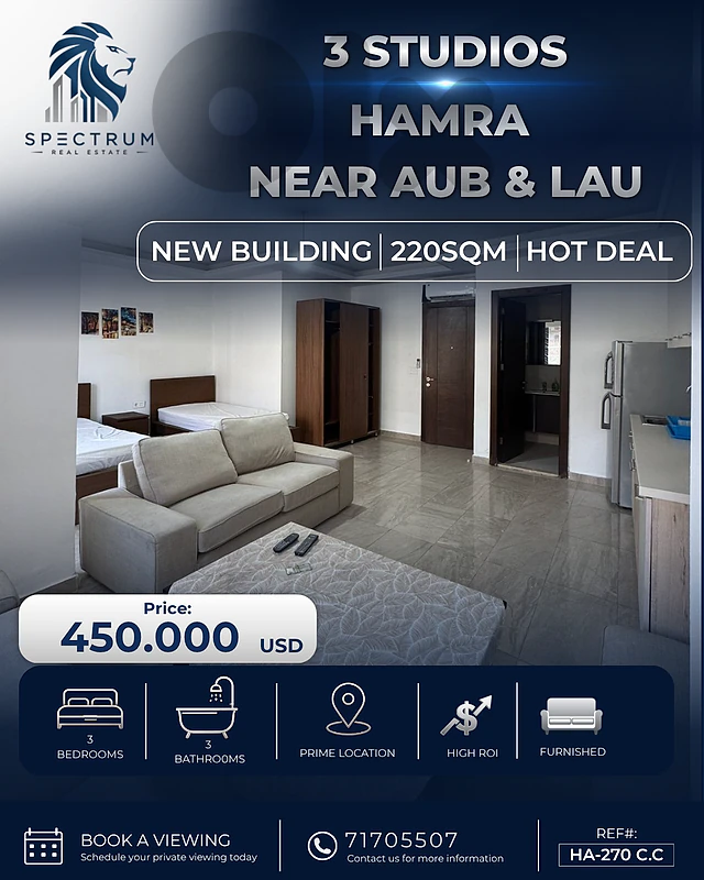 3 Studios in Hamra , (220sq), SUITABLE AIRBNB, WALKING AUB, NEW BLDG