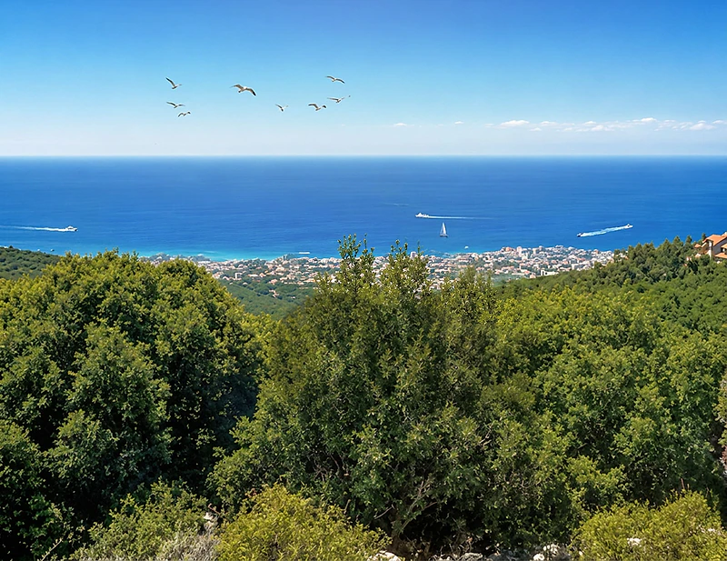 Ebrine View Land - أرض بإطلالة مميزة في عبرين