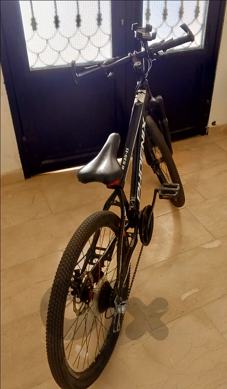 phoenix mtb