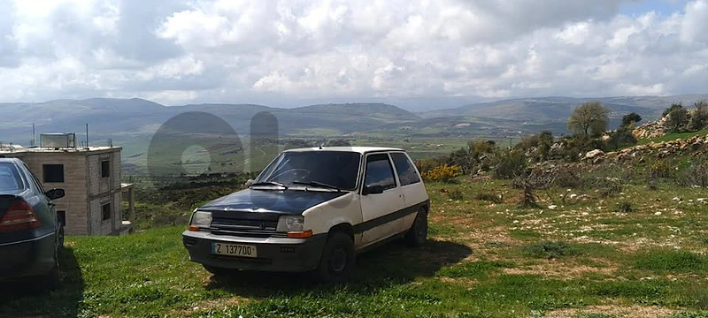 Renault 5 1989