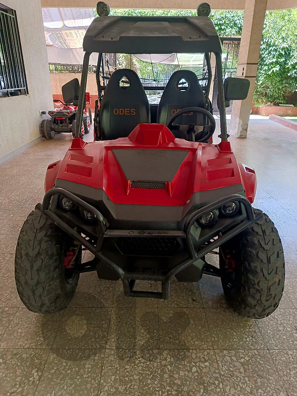 buggy