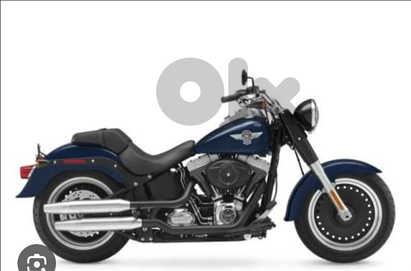 harley fatboy