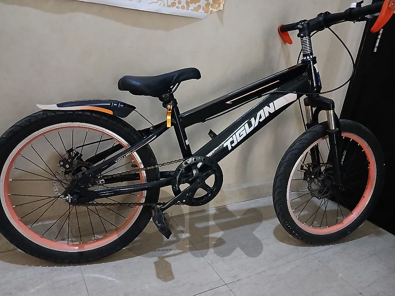 bicycle 20