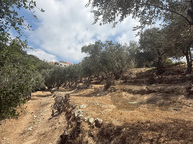 Land for sale in Bchamoun