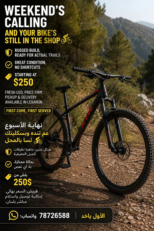 Mountain Bikes available – Excellent Condition – Starting at $250