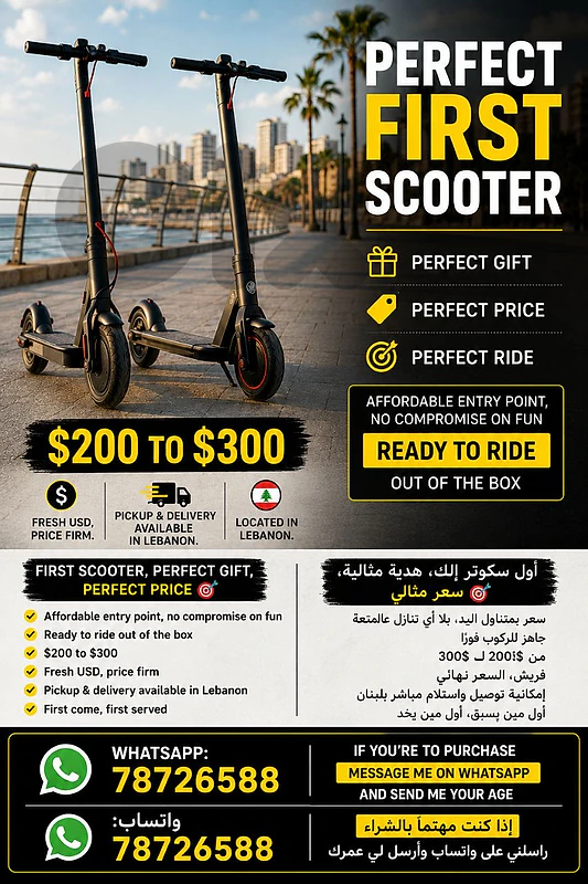 electric scooters - excellent condition - 200,300$ budget