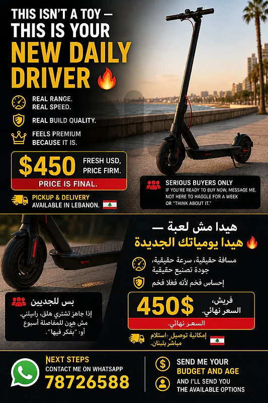 electric scooters - excellent condition - 450$+