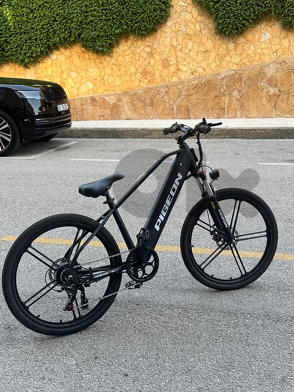 Electric Bike