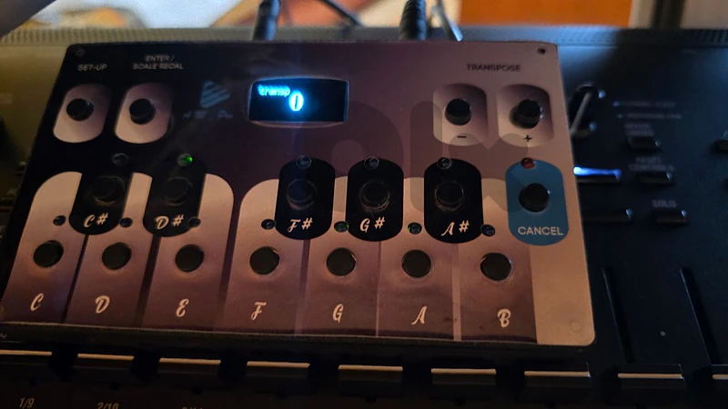 AM pro oriental scale box