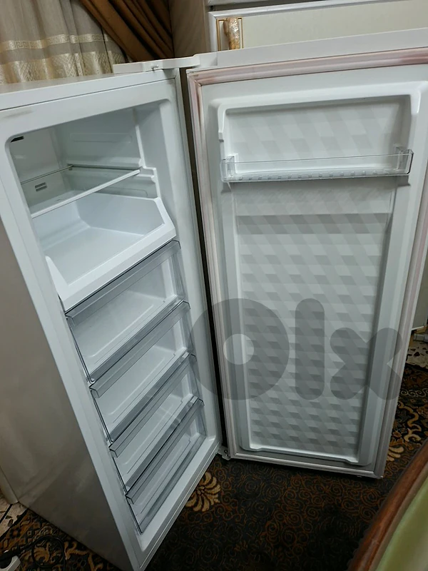 Queen chef freezer