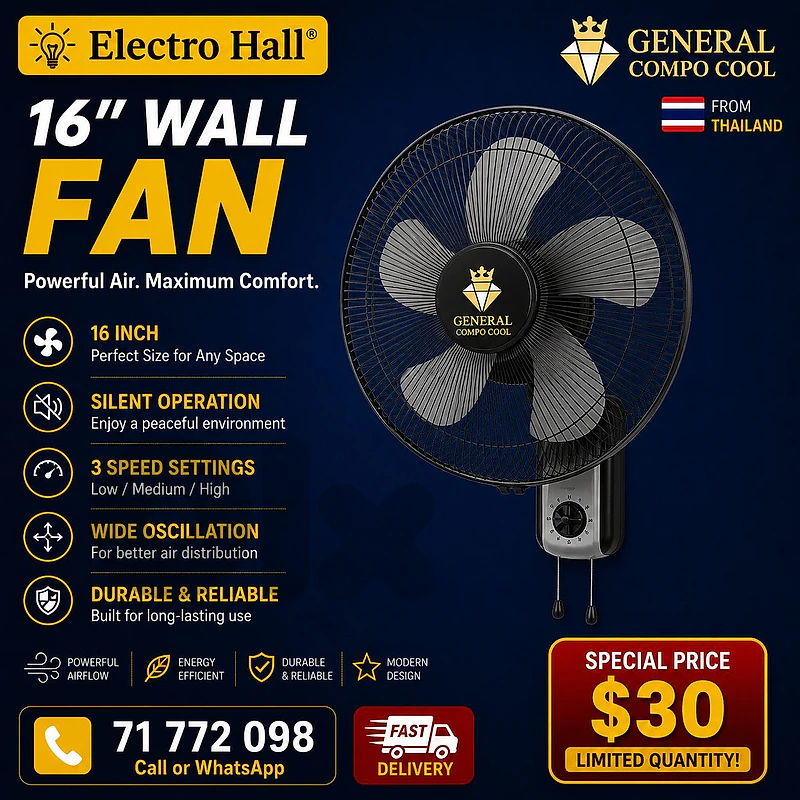 Wall Fan