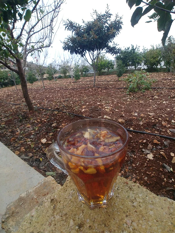 أرض للبيع في زبدين النبطية zebdine