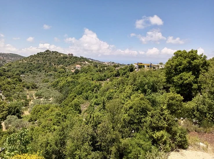 Land for Sale in Hadtoun, Batroun أرض للبيع في حدتون، البترون