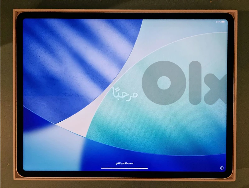 M1 iPad Pro (12.9-inch)
