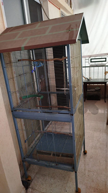 Bird cage